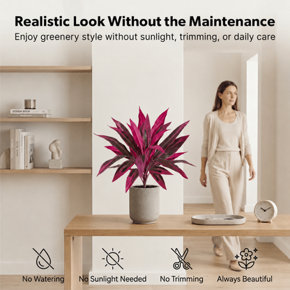 Last Day 60% OFF - Artificial Boston Fern & Dragon's Blood Tree Plants