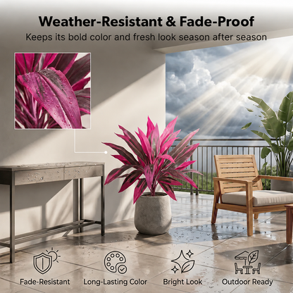 Last Day 60% OFF - Artificial Boston Fern & Dragon's Blood Tree Plants