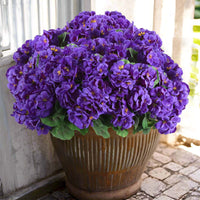 Purple (6 pieces set)