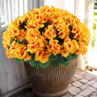 yellow (6 pieces set)
