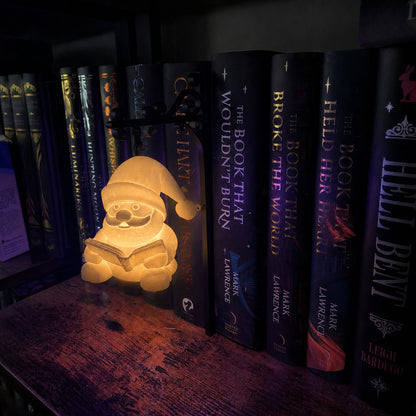 Library Lantern-Decorative Bookshelf Lighting