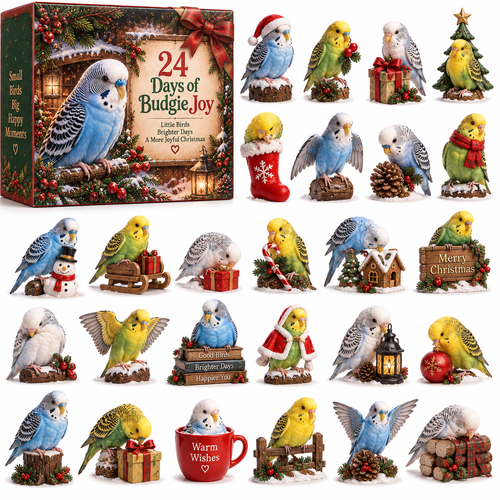 🐦24 Days of Budgie Joy – 24 Little Birds, 24 Big Personalities ❤️