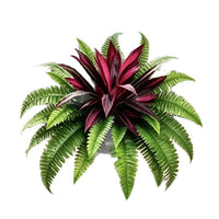 1 set (Ferns + Dragon’s Blood Mangroves)