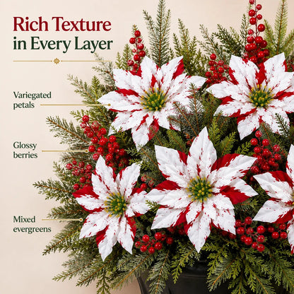 ❤️ Christmas Poinsettia Flower Arrangement in a Pot