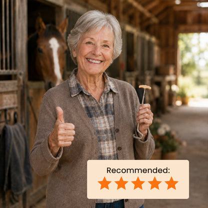 Horse-Shaped Shoe HornHook for Easy Wear