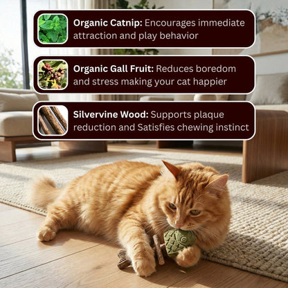 Day Sale 50% OFF - Catnip & Silvervine Chew