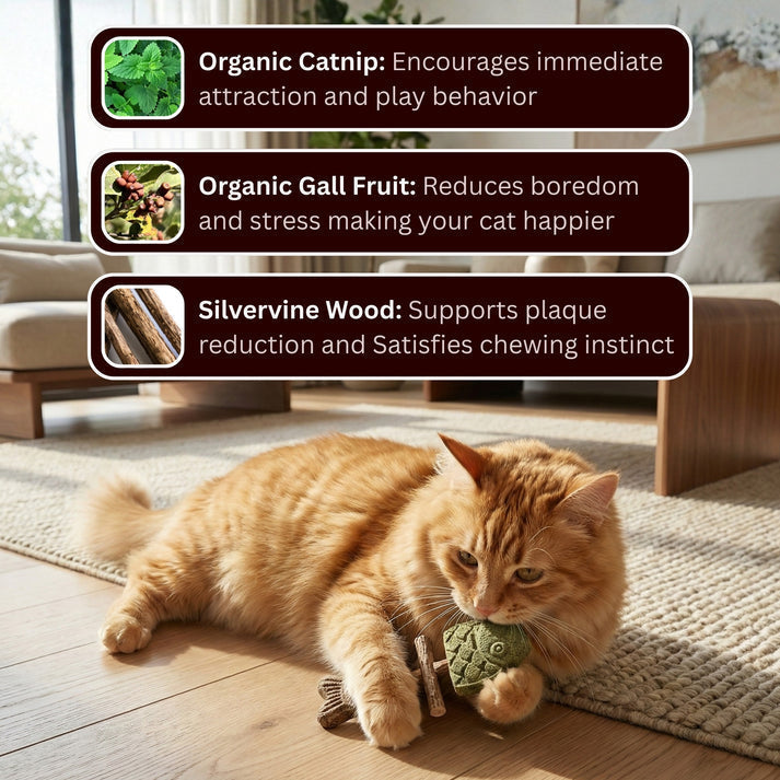🔥Day Sale 50% OFF-Catnip & Silvervine Chew