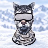 Black cat