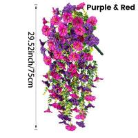 Purple & Red