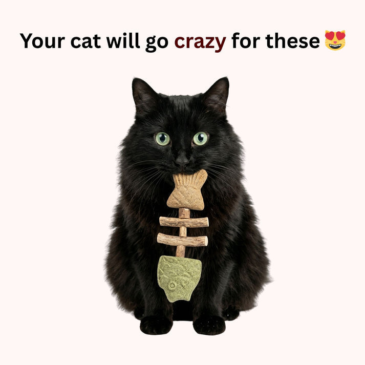 🔥Day Sale 50% OFF-Catnip & Silvervine Chew