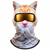 🐱Cat