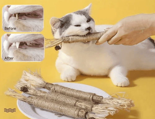 All Natural Catnip Teething Toy for Cats (Free Delivery)