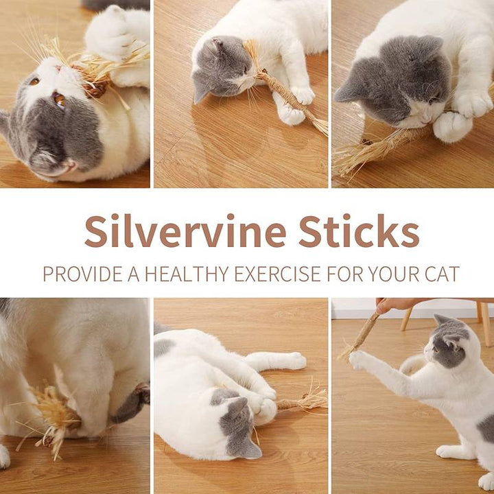 All Natural Catnip Teething Toy for Cats (Free Delivery)