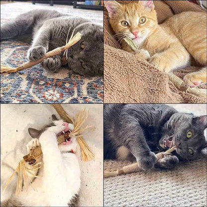All Natural Catnip Teething Toy for Cats (Free Delivery)