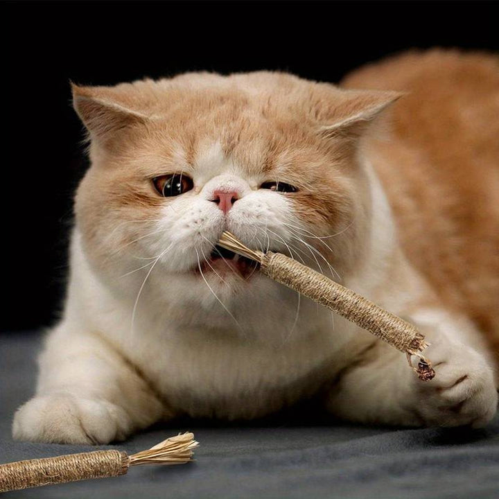 All Natural Catnip Teething Toy for Cats (Free Delivery)