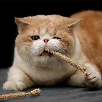 All Natural Catnip Teething Toy for Cats (Free Delivery)
