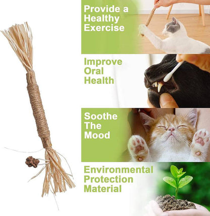 All Natural Catnip Teething Toy for Cats (Free Delivery)