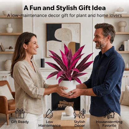 Last Day 60% OFF - Artificial Boston Fern & Dragon's Blood Tree Plants