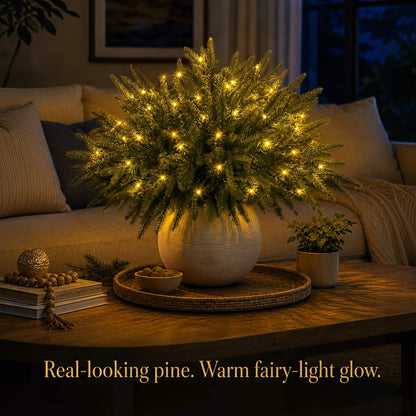 Christmas Enchanted Evergreen Pine– Set of 5