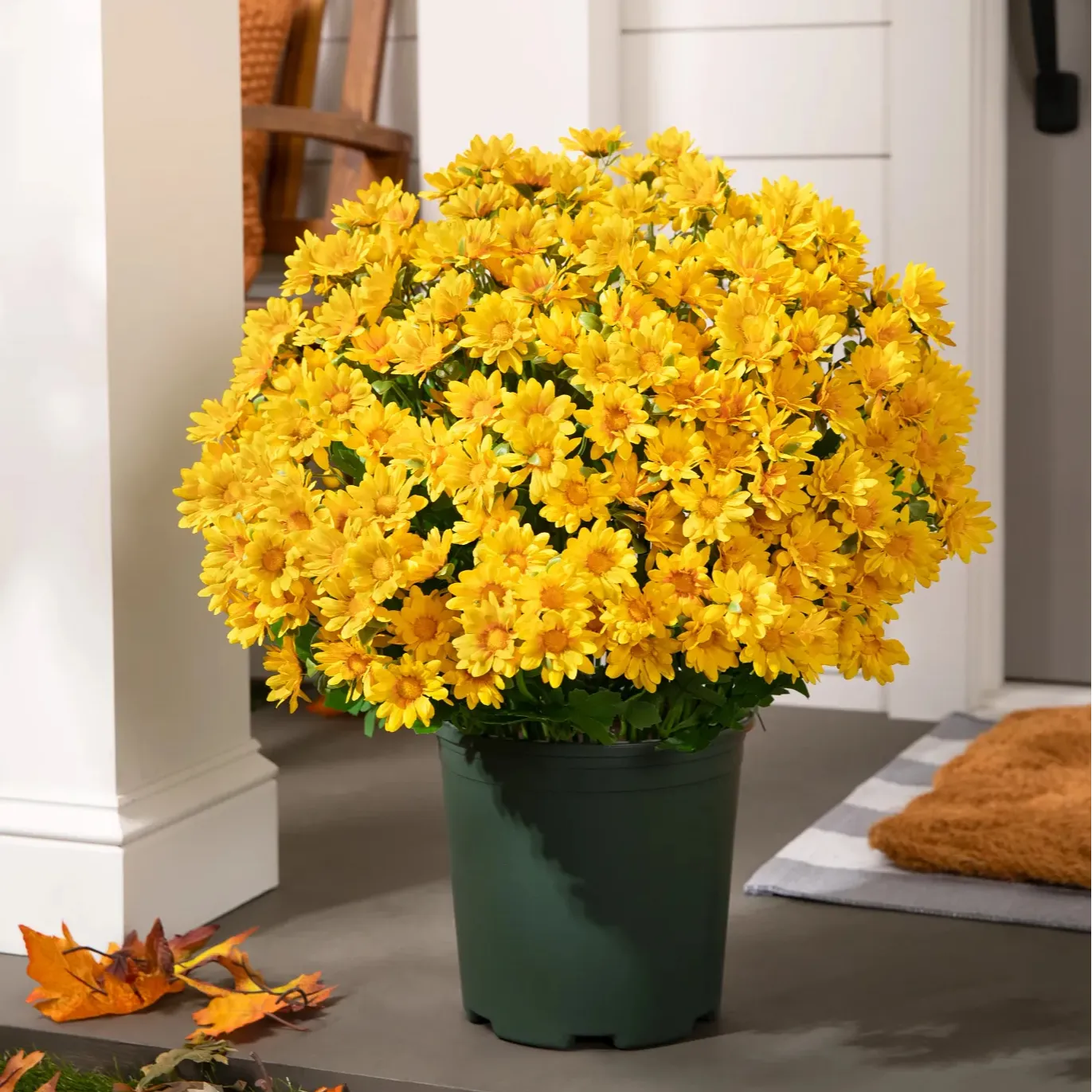 🔥 50% OFF Today Only 🔥 - Artificial Outdoor Mums Flowers - UV resistant, Waterproof, Windproof🌼