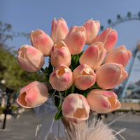 5 Pcs‑Pink