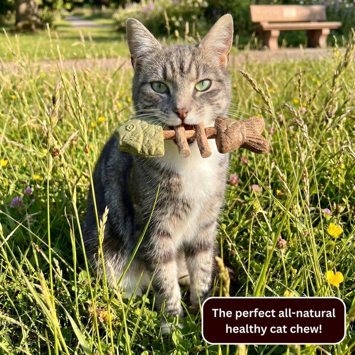 Day Sale 50% OFF - Catnip & Silvervine Chew