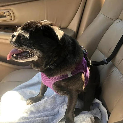 2-in-1 Dog Car Seat Belt& Walking Leash