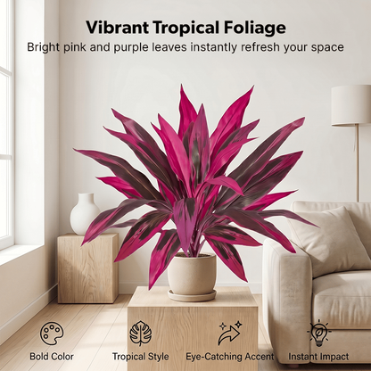 Last Day 60% OFF - Artificial Boston Fern & Dragon's Blood Tree Plants