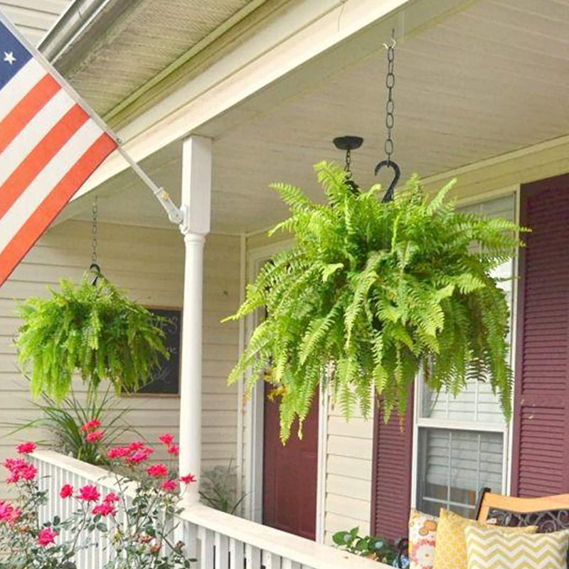 🔥Last Day 60% OFF🔥Oversized Pre-Lit Artificial Boston Ferns --No watering, No fading