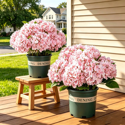 💥Artificial Outdoor Hydrangea Flowers - UV resistant, Waterproof, Windproof💐